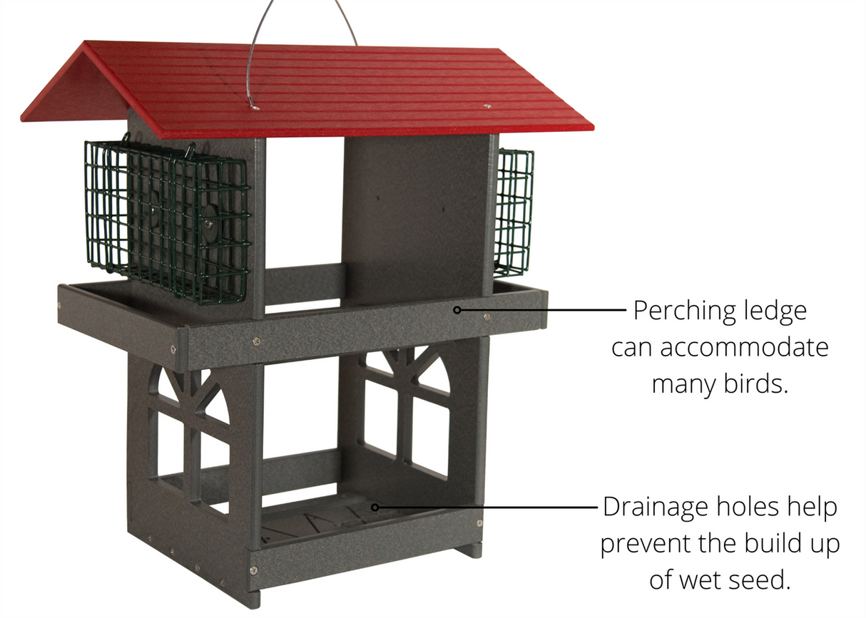 JCS Wildlife Double Fly Thru Bird Feeder with Suet Cages featuring a perching ledge and drainage holes for wet seed.