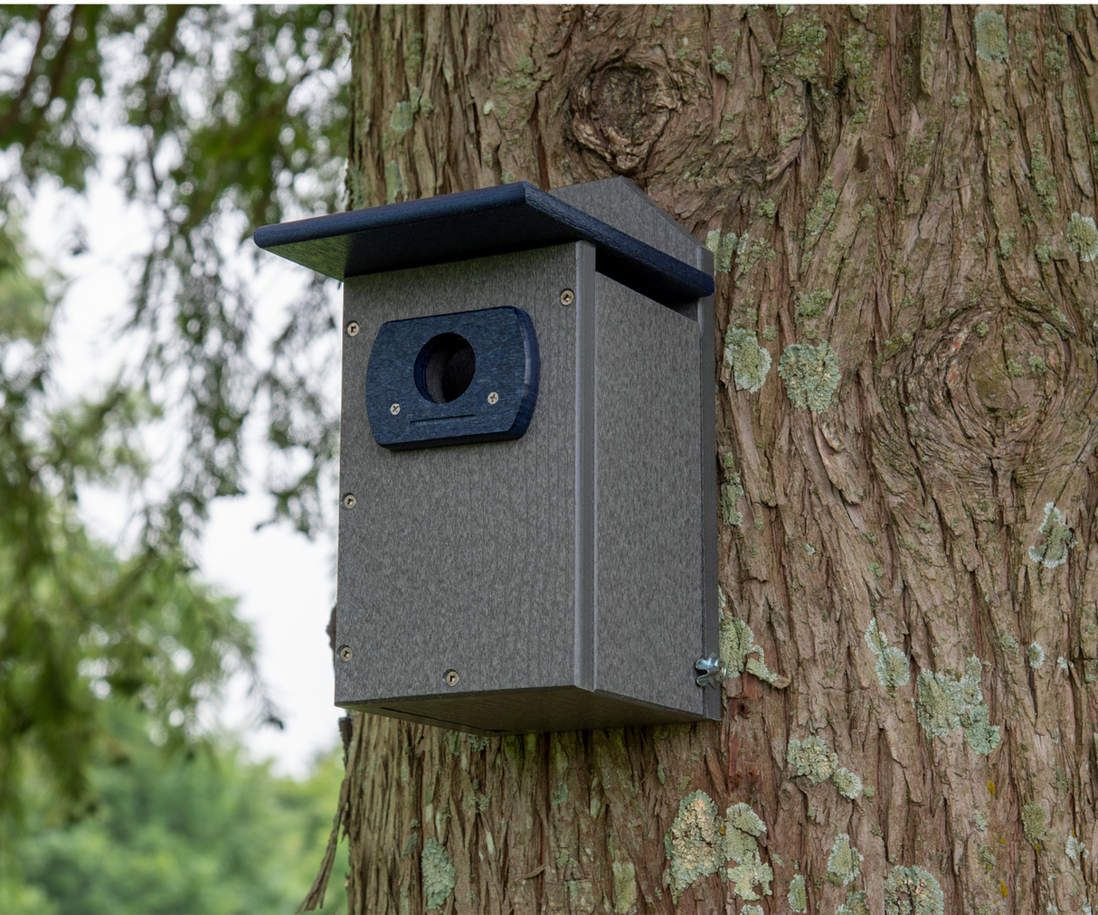 A gray and dark blue recycled plastic birdhouse mounted on a tree trunk showing lichen and textured bark with visible screws and a small entrance hole