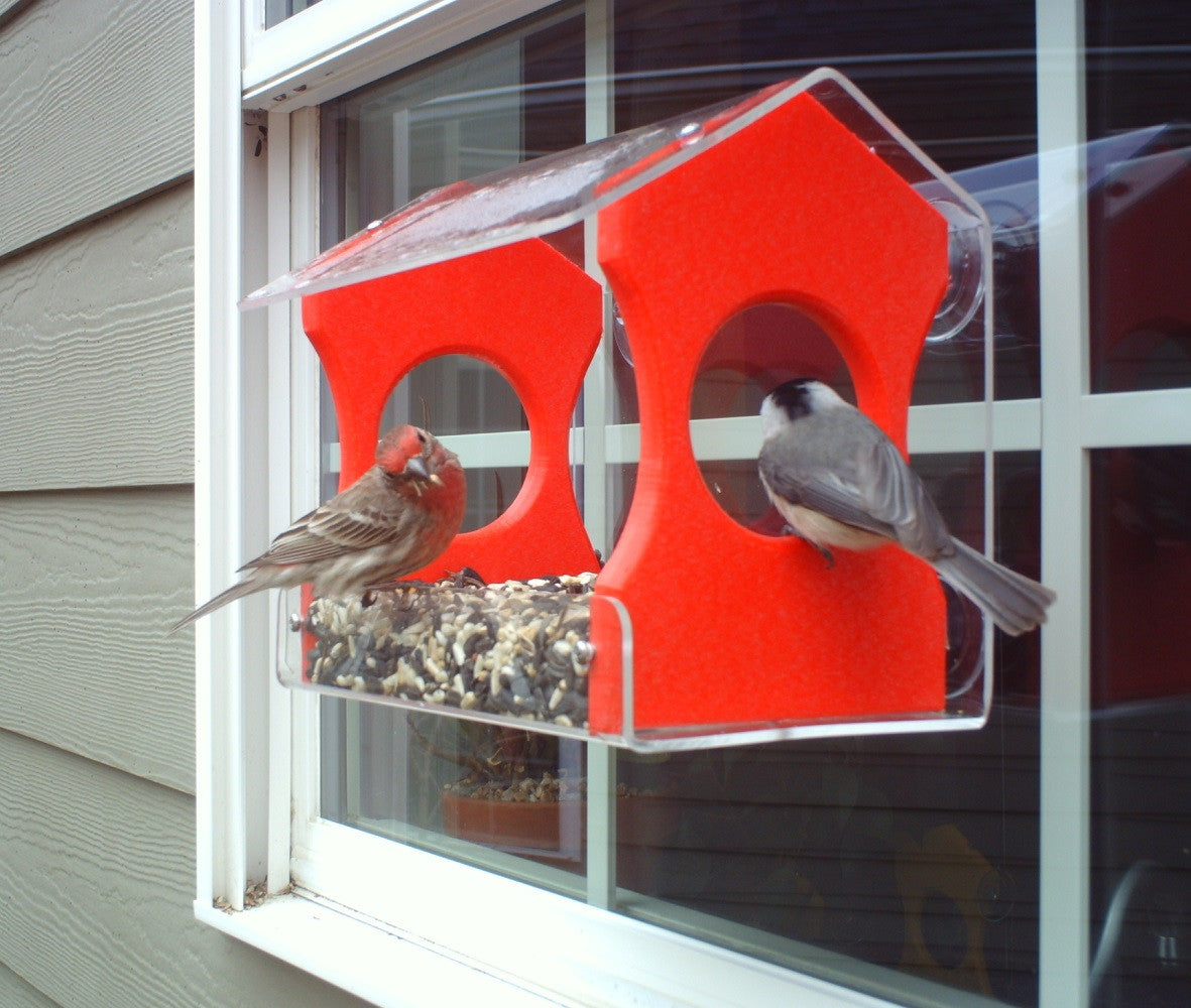 Photograph of a house finch and a chickadee at a bright orange window bird feeder with a clear acrylic roof on a house window with gray siding