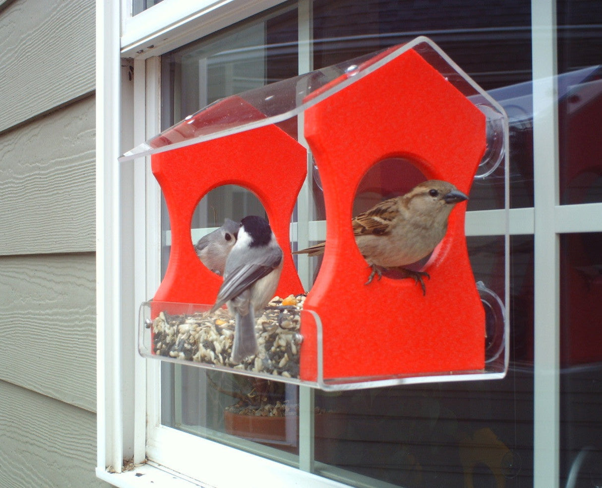 Photograph a black-capped chickadee and a house sparrow feeding from a vibrant red and clear acrylic bird feeder attached to a window with gray siding featuring mixed seeds corn and sunflower seeds