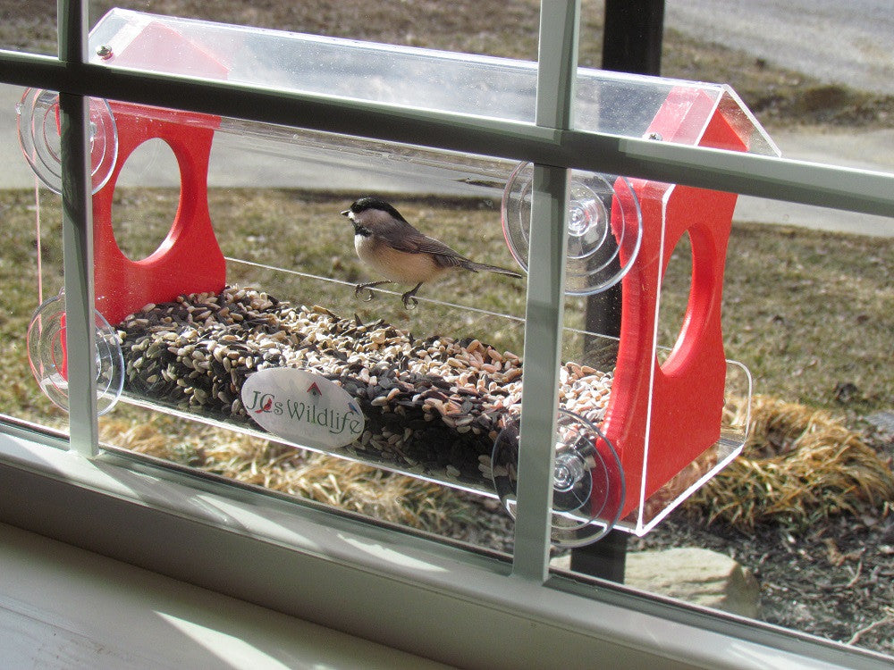 Photograph of a JQs Wildlife acrylic bird feeder with a chickadee perched on the edge, attached to a window showcasing mixed seeds, a bright red perch and clear suction cups against a blurred outdoor backdrop