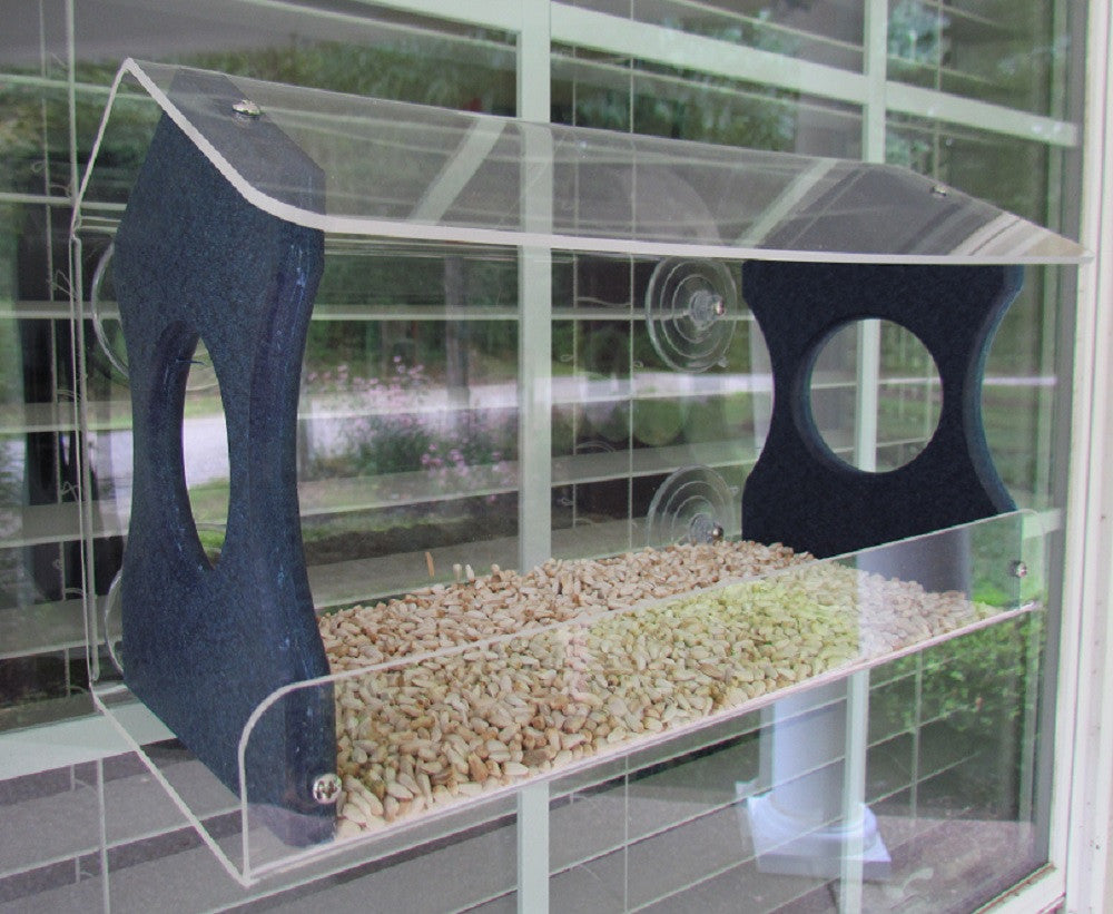 Acrylic window bird feeder featuring a navy blue perch, clear acrylic roof and sides, and two types of birdseed visible through a window showing a blurred garden beyond.