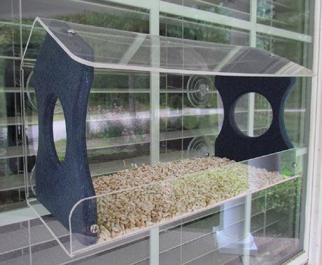 Acrylic window bird feeder featuring a navy blue perch, clear acrylic roof and sides, and two types of birdseed visible through a window showing a blurred garden beyond.