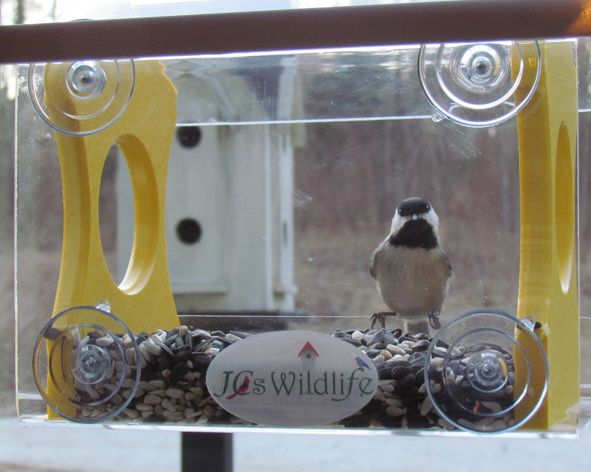 Photograph of a Carolina chickadee at a window bird feeder with sunflower seeds and a birdhouse in the background featuring yellow accents and clear suction cups.