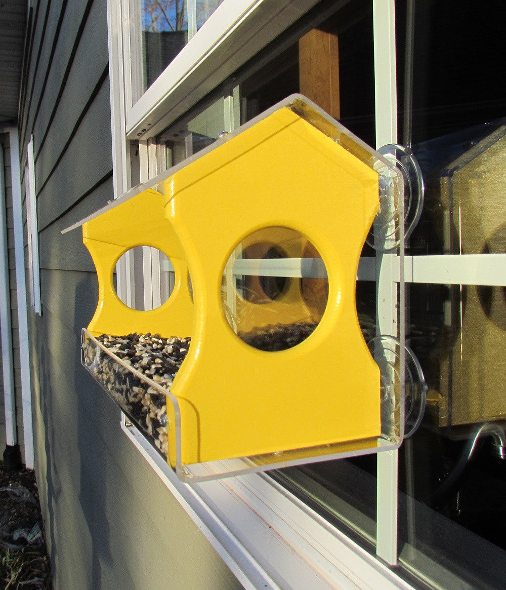 Acrylic bird feeder on a house window showing sunflower seeds clear acrylic sides and bright yellow housing