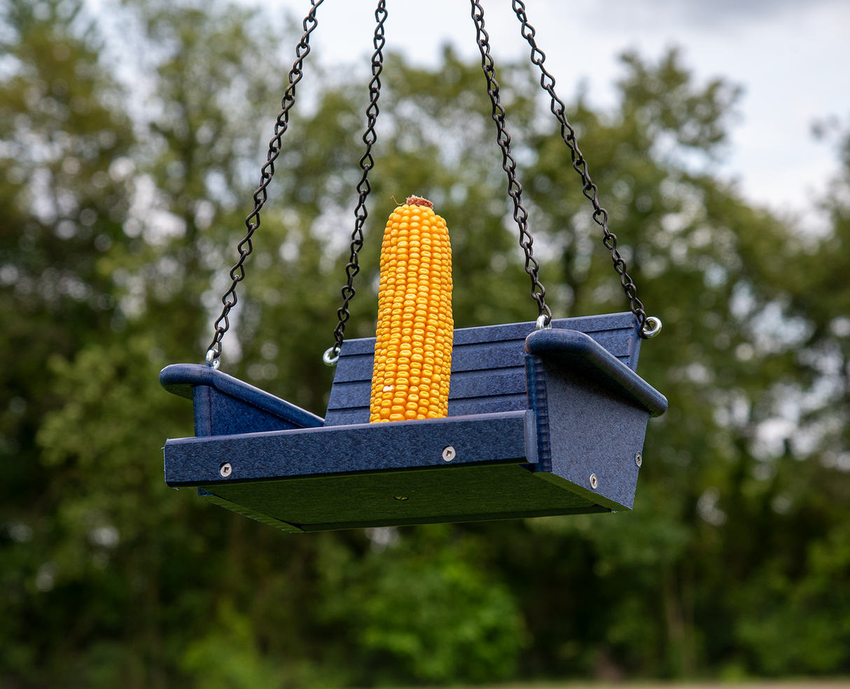 Photograph of a blue plastic bird feeder shaped like a swing hanging outdoors with a bright yellow ear of corn a lush green background and dark metal chains