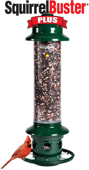 Brome Squirrel Buster Plus Bird Feeder w/ Cardinal Perch Ring 1024