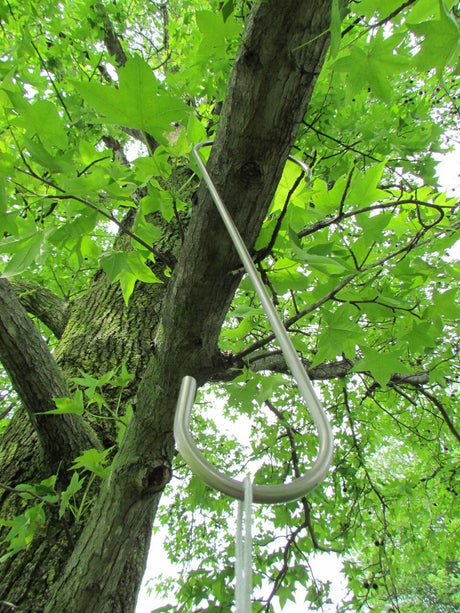 Photograph stainless steel tree hook hanging from a large tree branch with vibrant green star-shaped leaves and mossy bark a bright white sky is visible through the branches