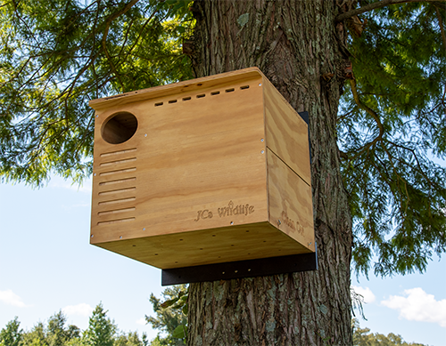 Photograph of a JC's Wildlife wooden birdhouse mounted on a tree featuring a circular entrance hole, ventilation slots, and the JC's Wildlife logo subtly engraved on its light brown surface against a backdrop of lush green trees and a partly cloudy sky