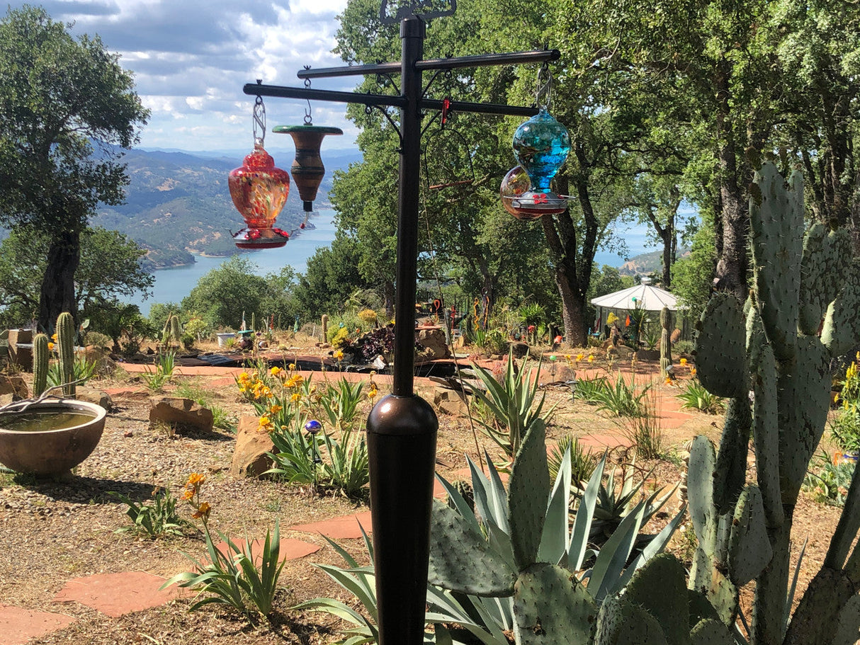 Photograph of a hillside garden featuring a hummingbird feeder, colorful succulents, and a view of a lake and distant mountains with a red speckled hummingbird feeder, a blue glass feeder, and terracotta colored pathway.