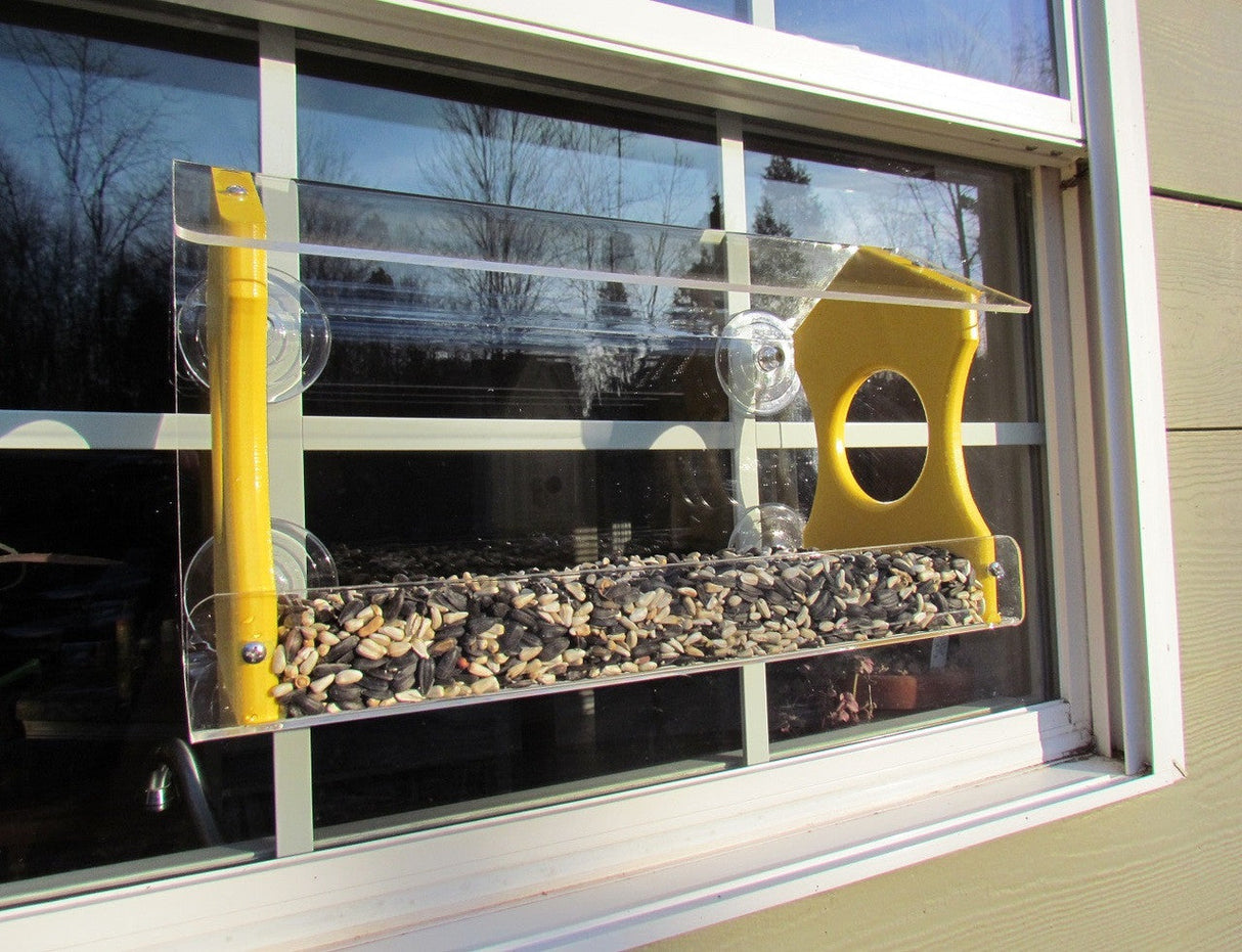 DIY acrylic and yellow wood bird feeder attached to a window showing various bird seeds bare trees and a reflection of a plant in a pot