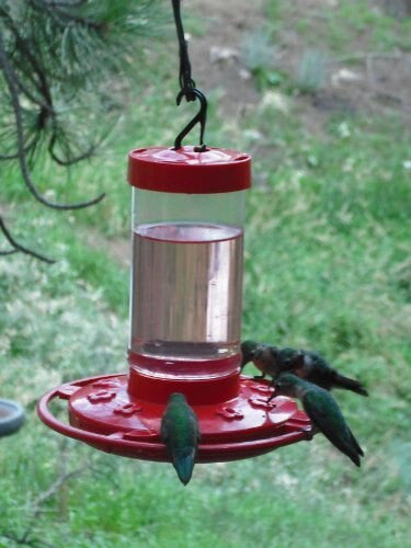 Photograph hummingbird feeder with three hummingbirds feeding red base clear reservoir vibrant green birds