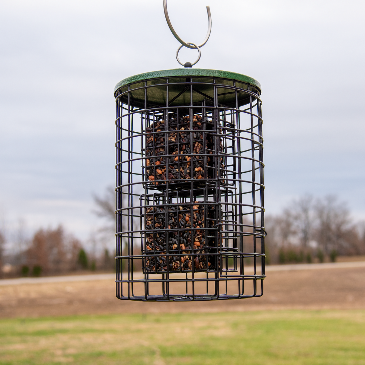 Squirrel Stopper Large Round Squirrel Proof Suet Feeder hanging outdoors, holding two suet cakes for small birds.