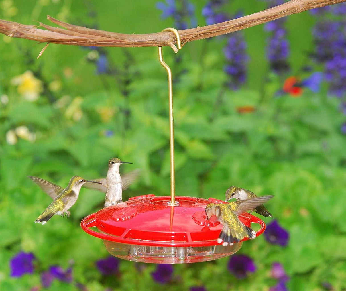 Aspects 367 Hummzinger Ultra Hummingbird Feeder in red attracting multiple hummingbirds outdoors.
