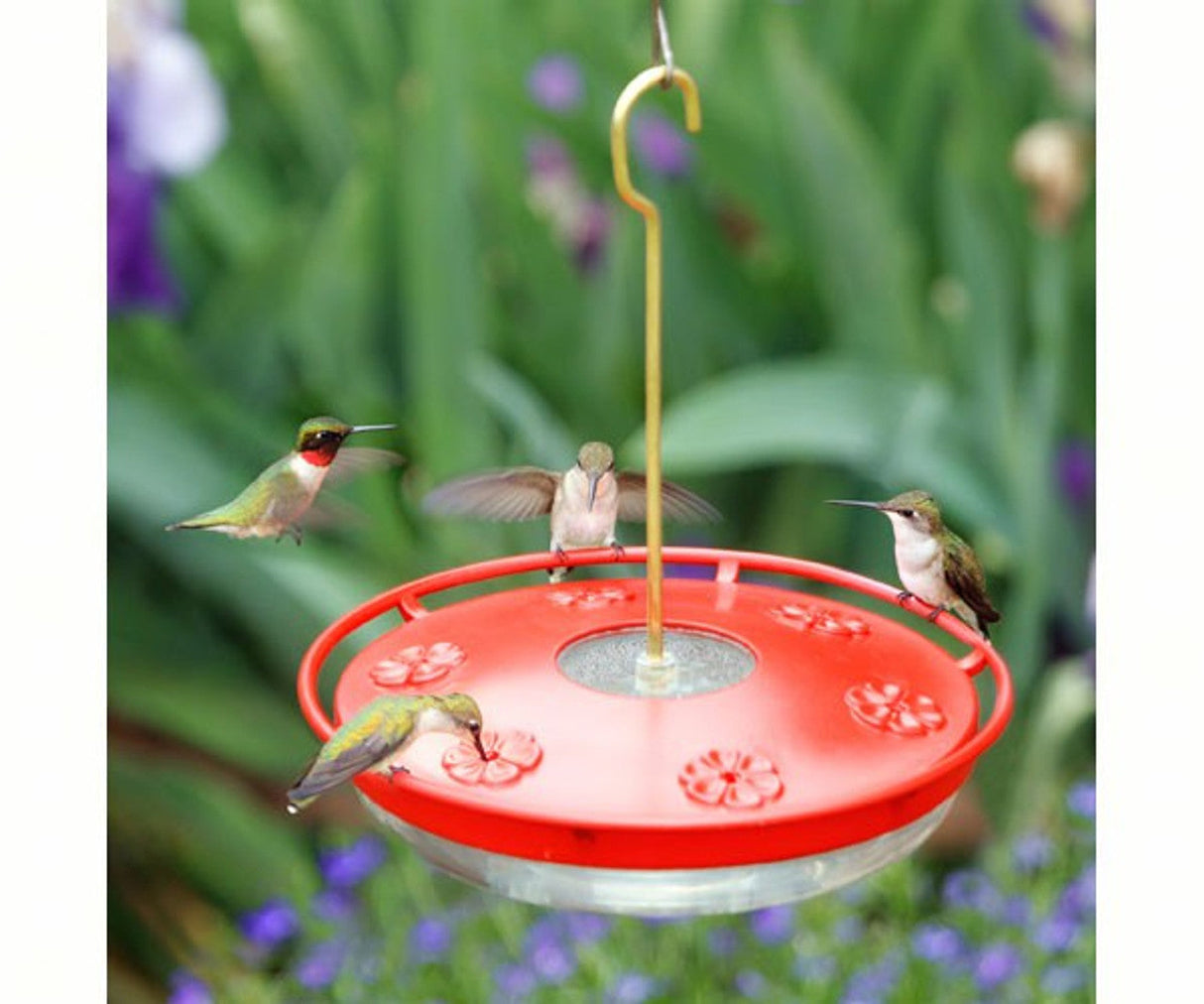 Aspects 441 Highview Excel Bird Feeder with hummingbirds feeding around it in a garden setting.