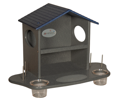 JCS Wildlife Squirrel Snack Station with water cups and buffet area for squirrels, eco-friendly and durable design.