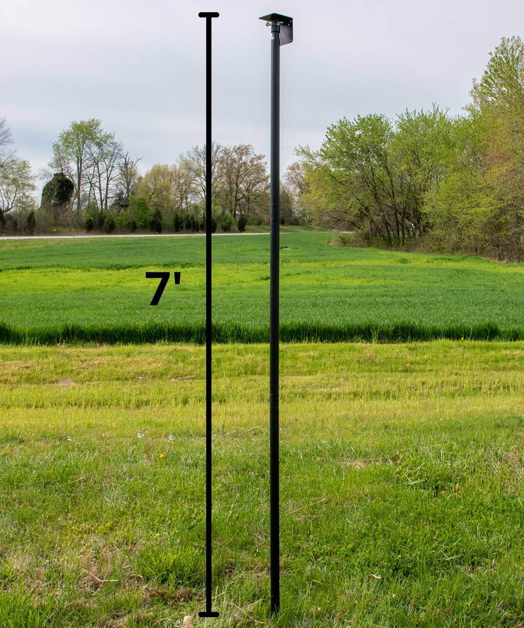 Photograph showing a seven-foot black metal post in a grassy field with a vibrant green wheat field and distant trees in the background, featuring a small square security camera mount, a few yellow wildflowers, and a contrasting patch of lighter green grass.