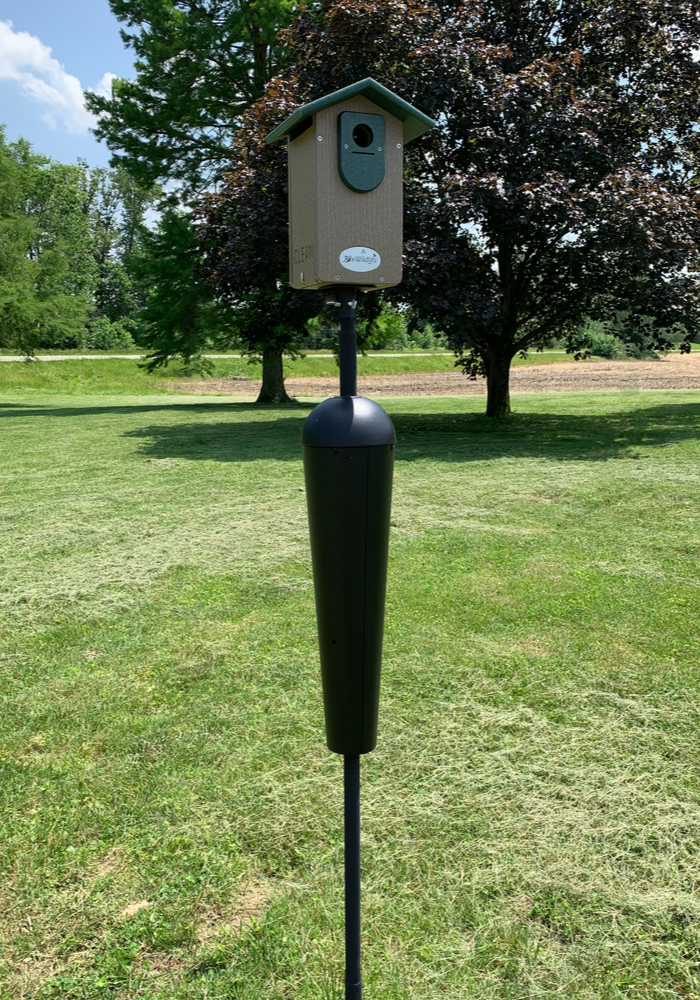 Photograph of a Birdhouse mounted on a tall black pole in a grassy field near trees with a tan and green birdhouse featuring a circular entry hole and a protective black cylindrical guard