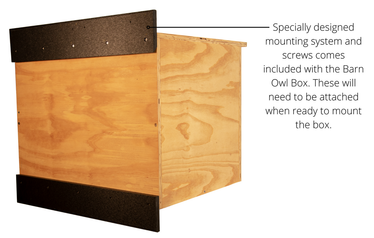 Product shot of a Barn Owl Box showing light brown plywood construction black rubber mounting pads and visible screws