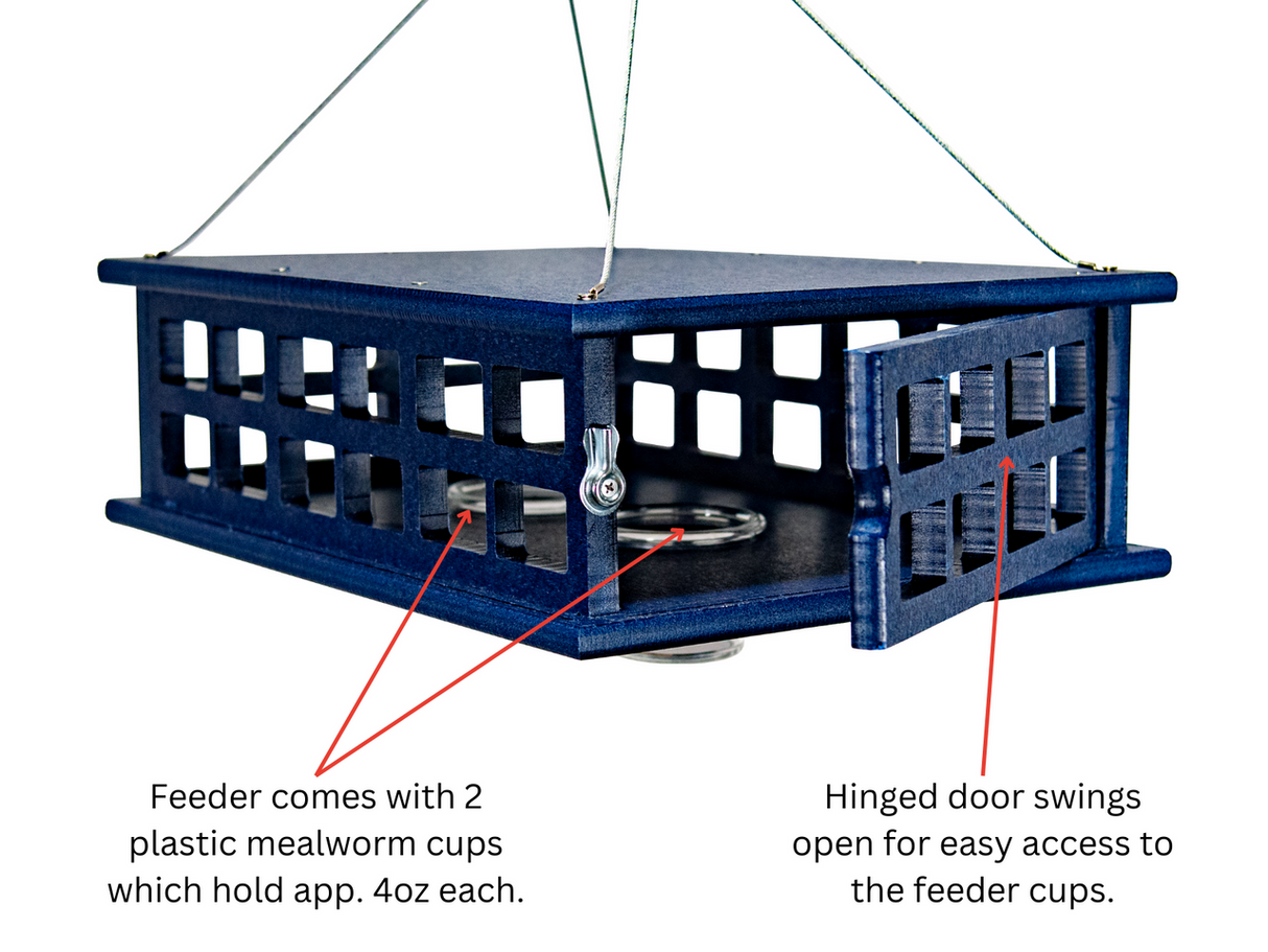 JCS Wildlife Recycled Poly Lumber Deluxe Caged Platform Bluebird Feeder with 2 plastic mealworm cups and hinged door.