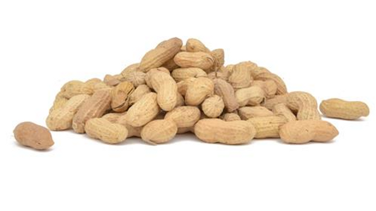 JCS Wildlife 5 Pound Raw In-shell Peanuts, a pile of in-shell nuts, perfect for birds and wildlife feeding.
