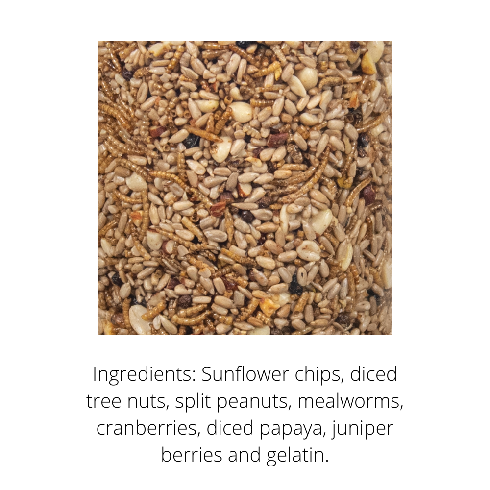 Photograph of a birdseed mix containing sunflower chips, split peanuts, mealworms, cranberries, and diced papaya.