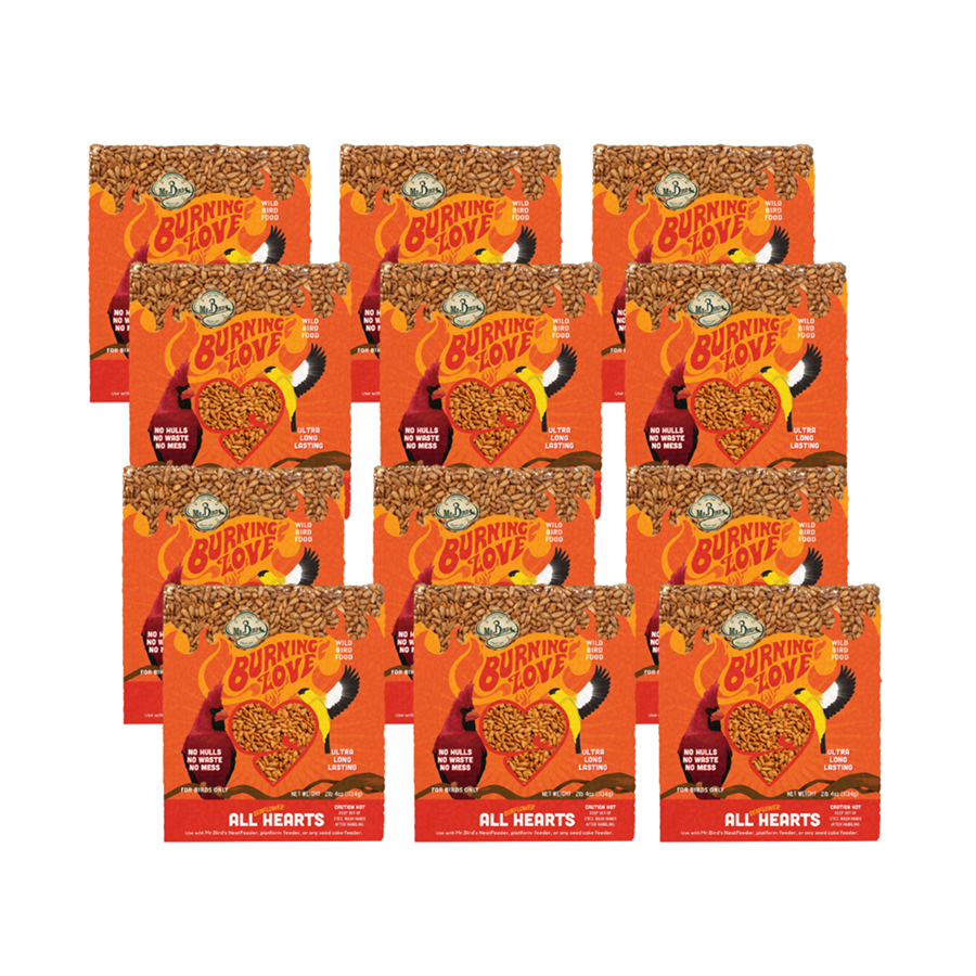 Mr. Bird Burning Love Large Cake snack blocks for birds, featuring fiery-hot ingredients to deter squirrels.
