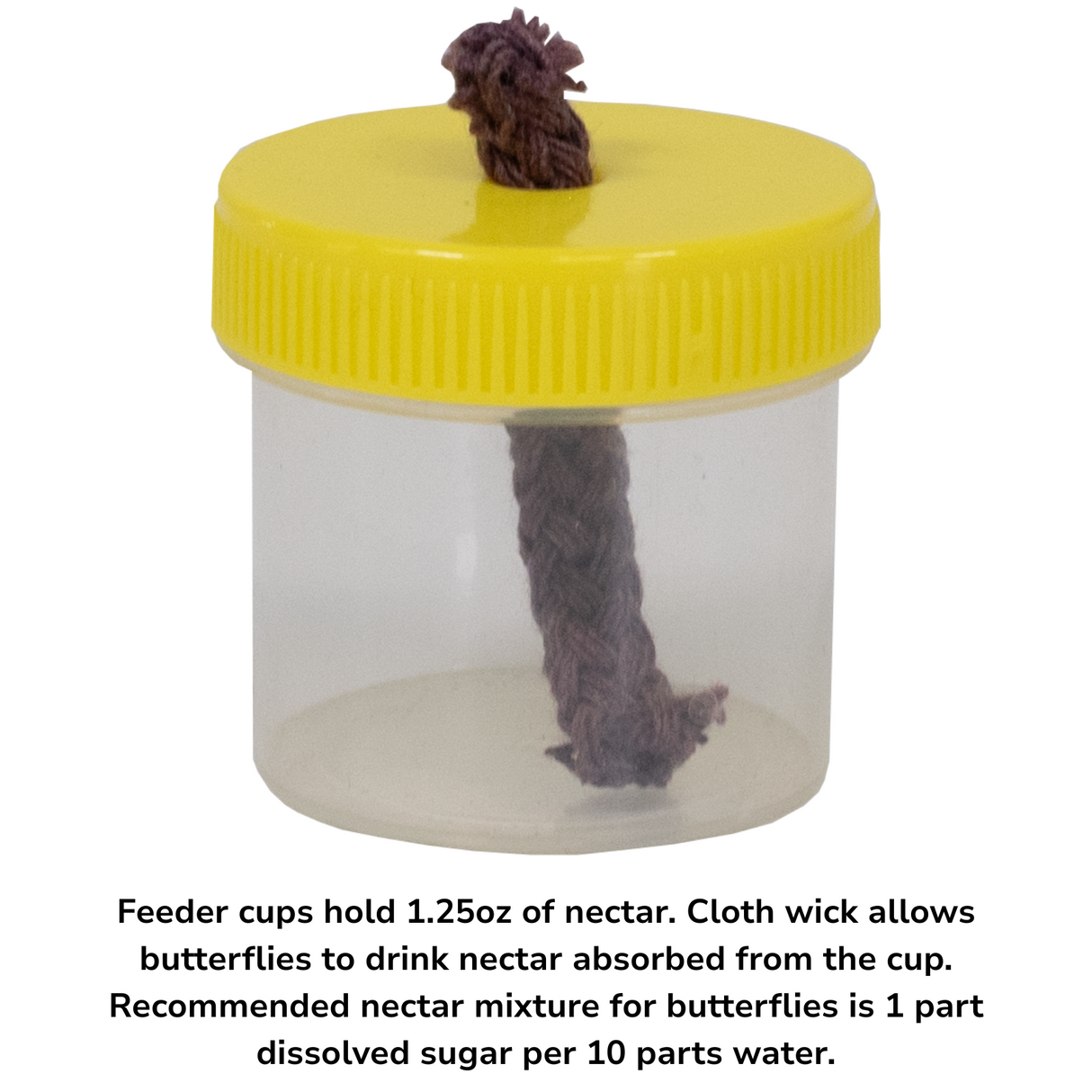 Product shot of a clear plastic feeder cup with a yellow lid and a brown cloth wick a simple design for attracting butterflies to a sugary nectar solution.