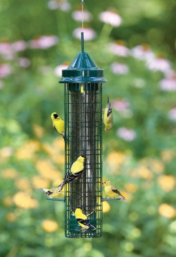 Brome Squirrel Buster Finch Squirrel Proof 1016 Bird Feeder