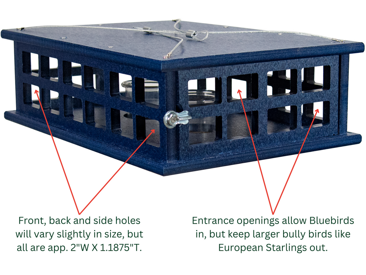 JCS Wildlife Recycled Poly Lumber Deluxe Caged Platform Bluebird Feeder design with openings for bluebirds and protection against bullies.