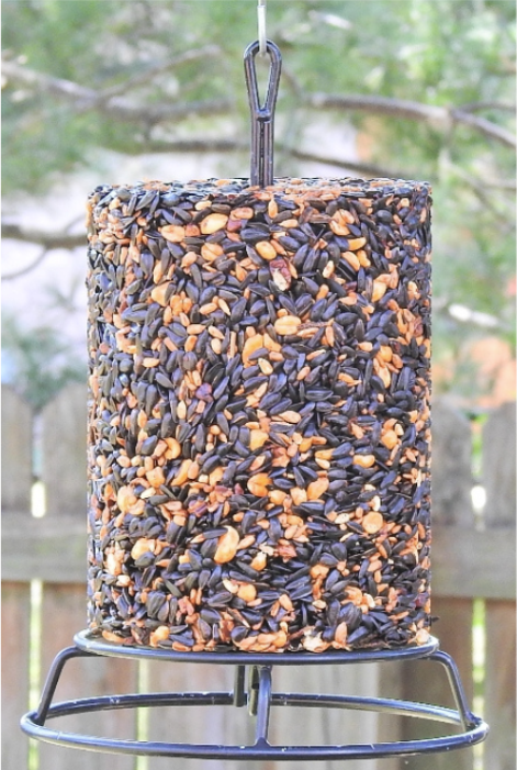 JCS Wildlife Bird Seed Cylinder Feeder filled with seed, ready to attract birds in the garden.