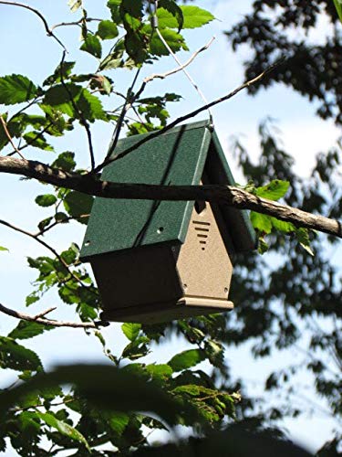 Recycled plastic birdhouse hanging from a tree branch in a garden featuring a dark green roof light beige body and ventilation slits against a backdrop of vibrant green leaves and a blue sky