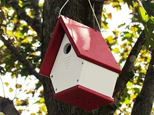 Recycled plastic birdhouse hanging from a tree branch showcasing a vibrant red roof white body and detailed ventilation slots