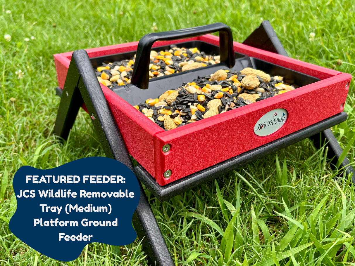 JCS Wildlife medium red and black platform ground feeder with removable tray filled with sunflower seeds peanuts and corn sits on green grass