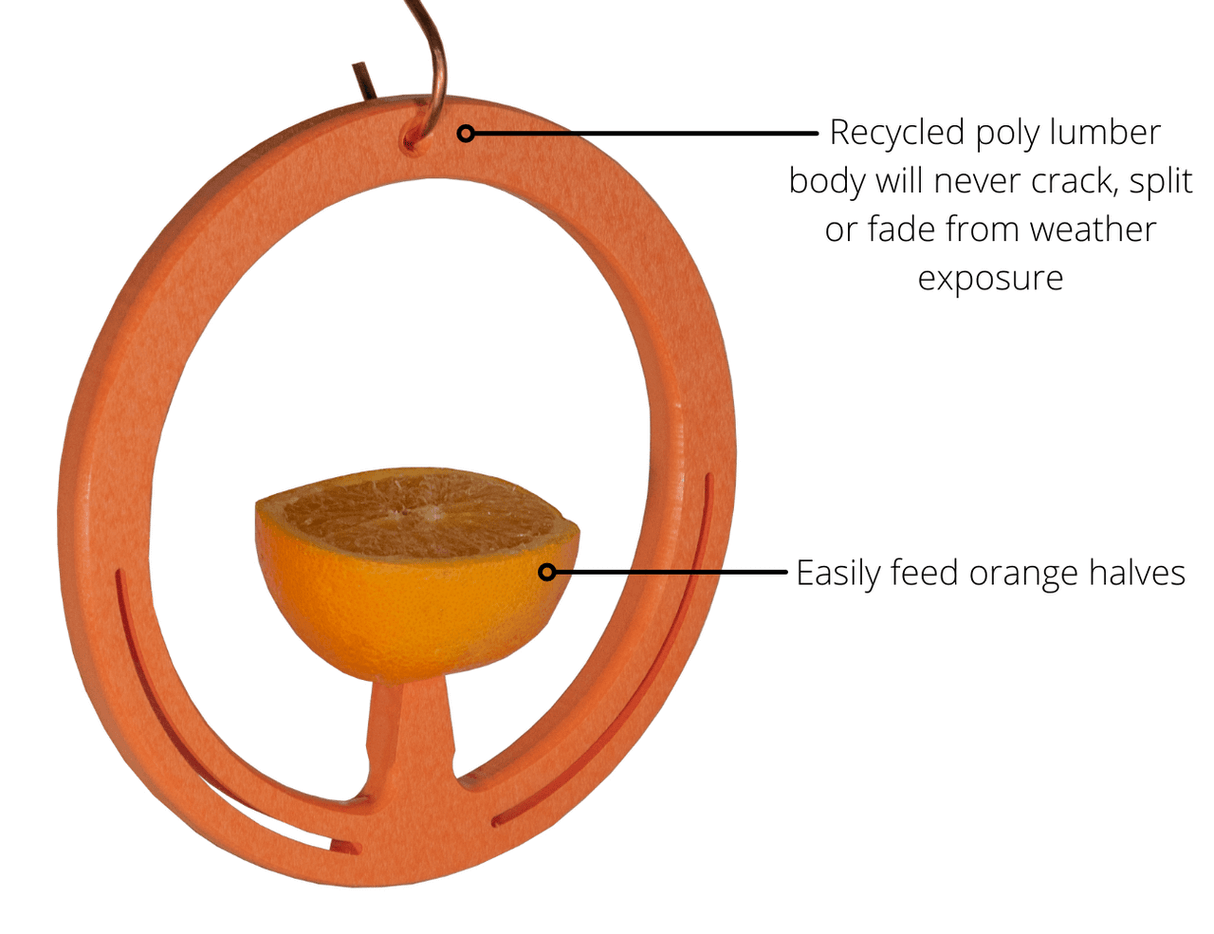 JCS Wildlife Spike Oriole Orange Fruit Feeder made from recycled poly lumber, featuring a holder for orange halves.