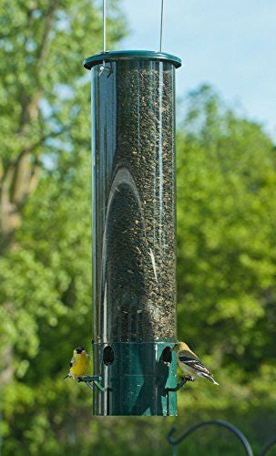 Photograph of a Perky-Pet cylindrical bird feeder in a backyard garden showing two goldfinches feeding on sunflower seeds with a dark green base and clear acrylic tube