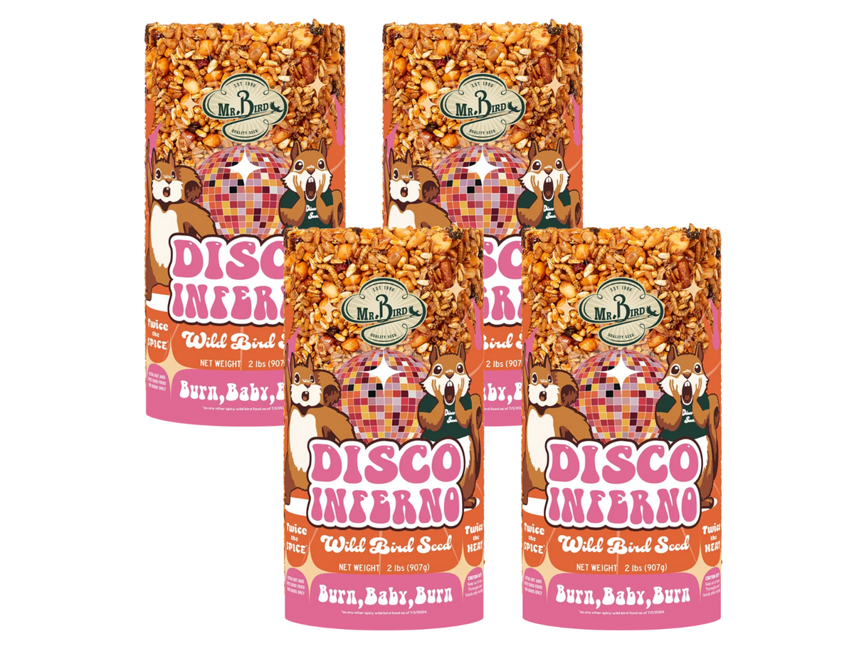 Mr. Bird's graphic design, Disco Inferno Wild Bird Seed, features two cartoon squirrels flanking a mirrored disco ball against a pink and orange background