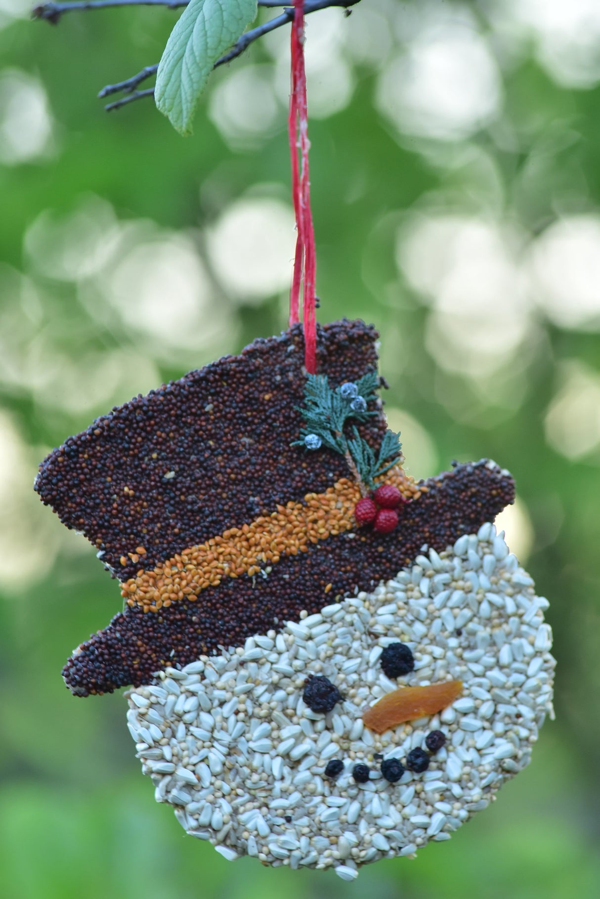Mr. Bird Frosty Christmas Cookie Seed Ornament featuring a snowman design made from seeds and treats.