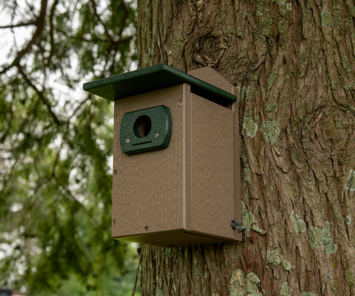 Recycled plastic birdhouse attached to a tree trunk showing a dark green roof and entry, and lichen-covered bark in a lush green outdoor setting