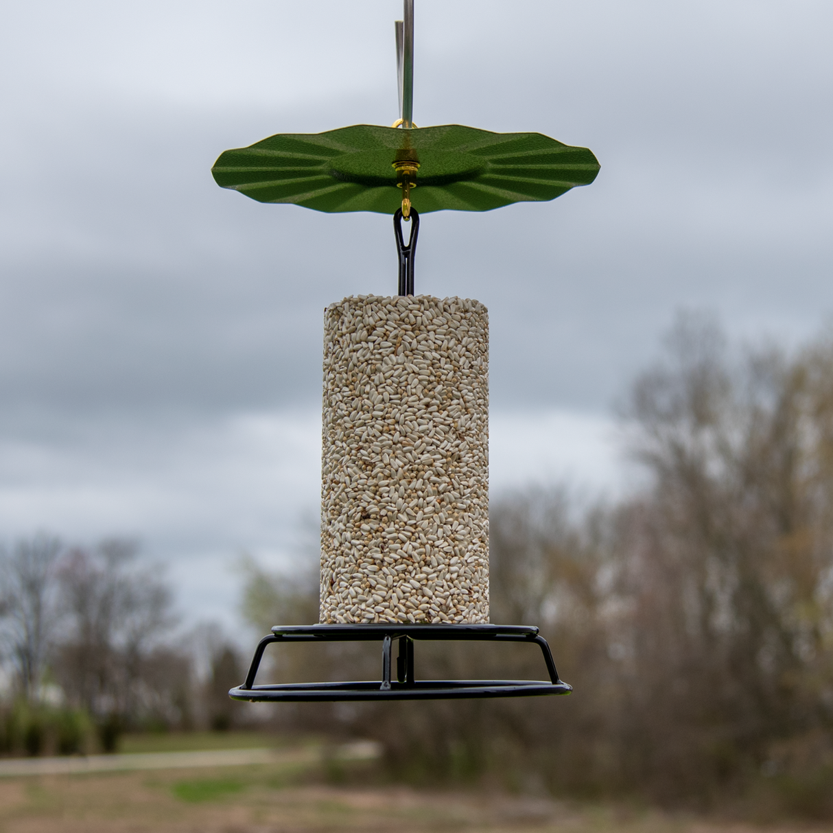 JCS Wildlife 9.5" Metal Rain Guard and Cylinder Feeder Kit holding a bird seed cylinder in a garden setting.
