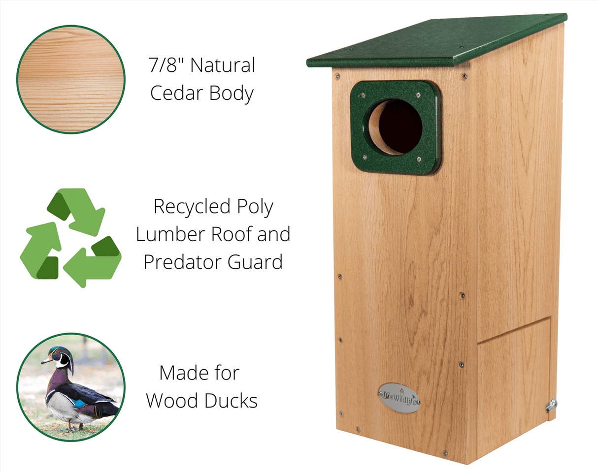 JCS Wildlife Cedar Wood Duck House with poly lumber roof and predator guard for cavity-nesting birds.
