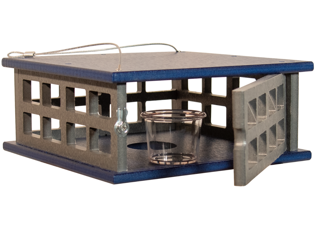JCS Wildlife Recycled Poly Lumber Caged Platform Bluebird Feeder with acrylic cup and open gate.