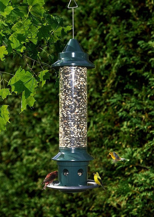 Brome Squirrel Buster Plus Bird Feeder w/ Cardinal Perch Ring 1024