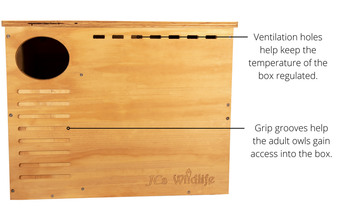 JCs Wildlife wooden owl box showing ventilation holes grip grooves and a circular entry hole