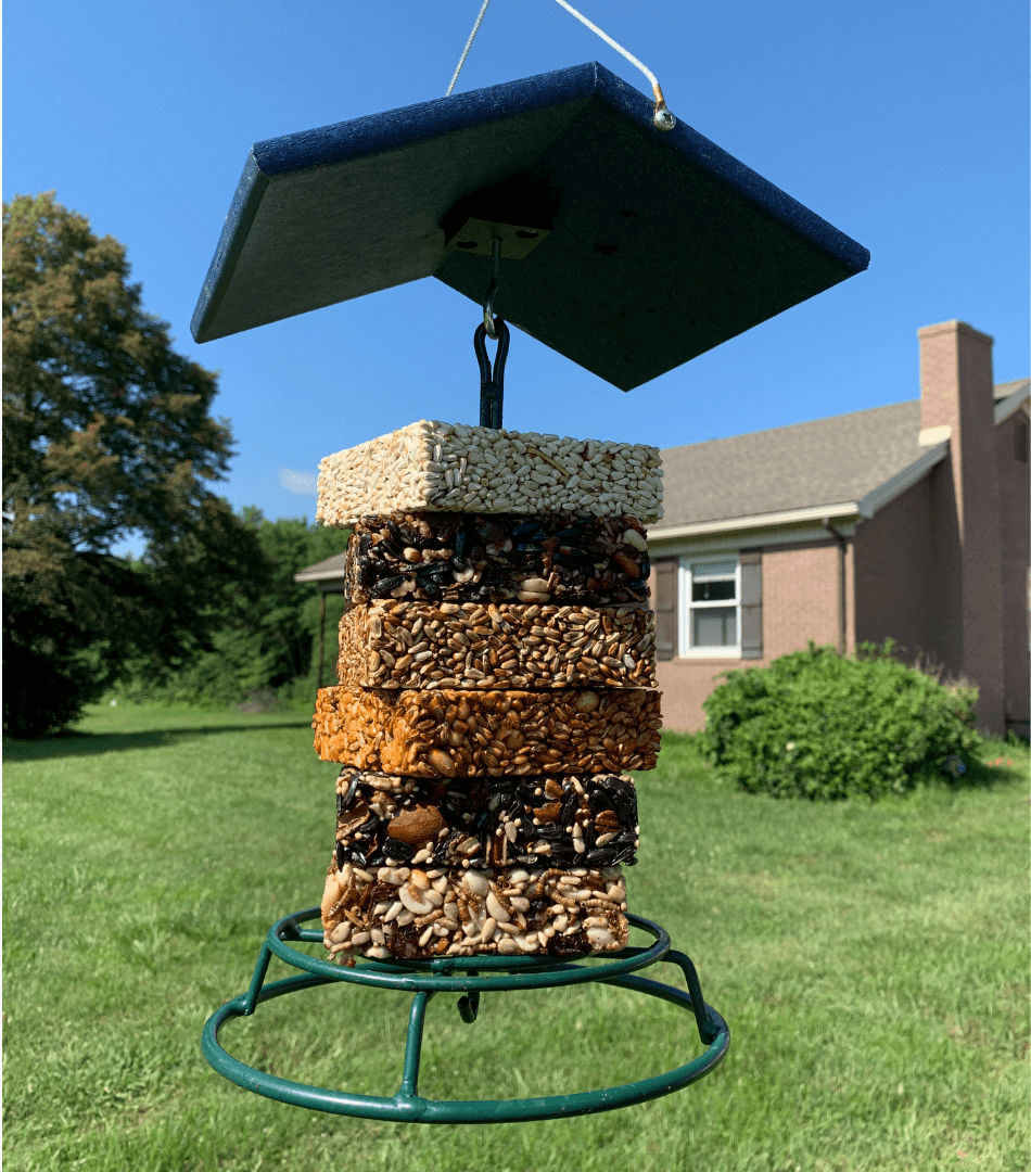 Mr. Bird Wild Bird Nut Cake hanging in a suet feeder, perfect for attracting various birds.