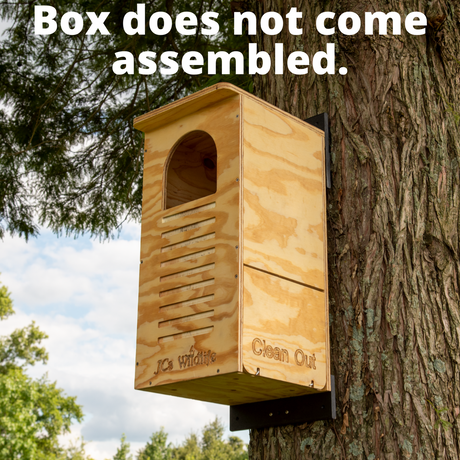 JCS Wildlife wooden birdhouse mounted on a tree outside with a clean-out door, arched entryway, and light-colored wood against a backdrop of green foliage and partly cloudy sky