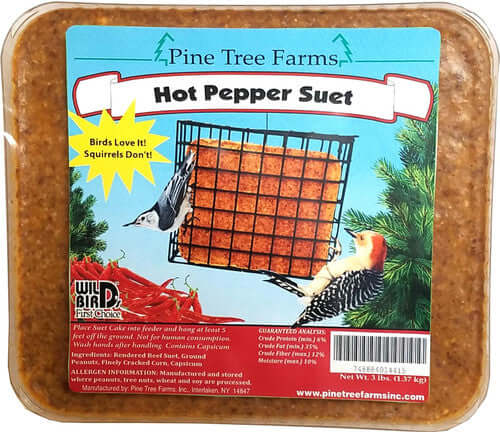 Pine Tree 1441 Hot Pepper Suet Cake, 3-Pound, attracting birds while deterring squirrels.