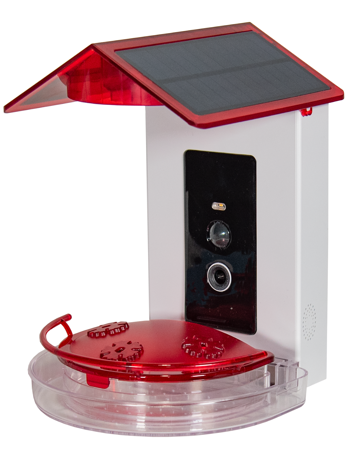 JCS Wildlife Smart 2-in-1 Hummingbird Feeder with solar panel and integrated camera for capturing hummingbird moments.