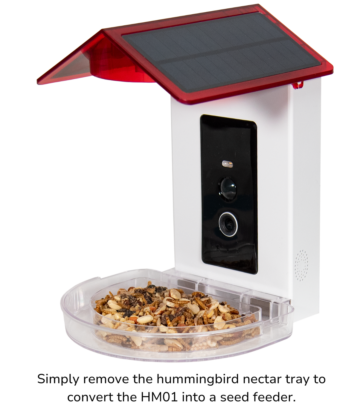 JCS Wildlife Smart 2-in-1 Hummingbird Feeder with solar panel and seed tray conversion.