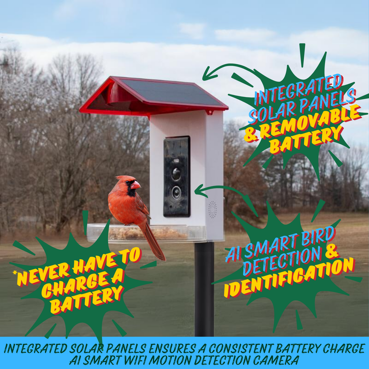 JCS Wildlife Smart 2-in-1 Hummingbird Feeder with 2MP camera and solar panels, including a cardinal bird.